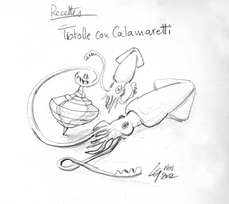 TCalamaretti