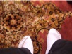 Pas de chaussures